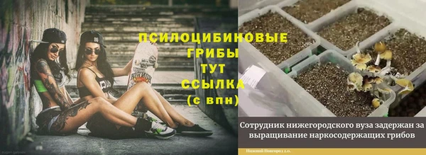 ECSTASY Абаза