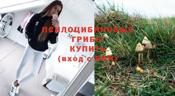 мяу мяу мука Абдулино