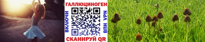 Псилоцибиновые грибы мицелий  Микунь 