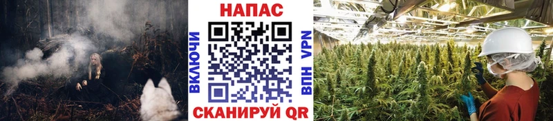 Каннабис White Widow  площадка клад  Микунь  как найти закладки 